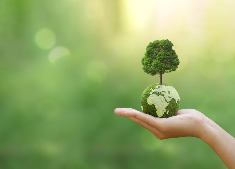 Hand Holding Earth XXL Min